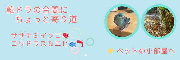 ペットの小部屋